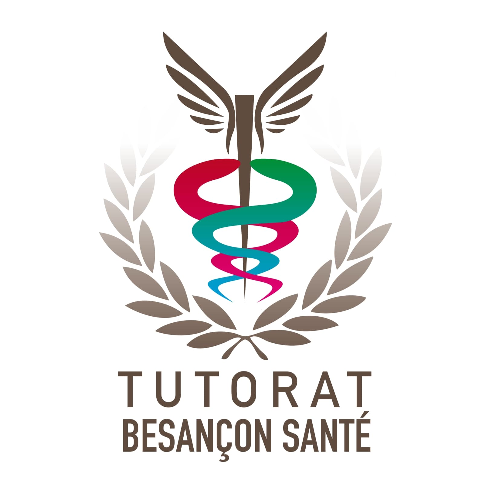 Tutorat Besançon Santé