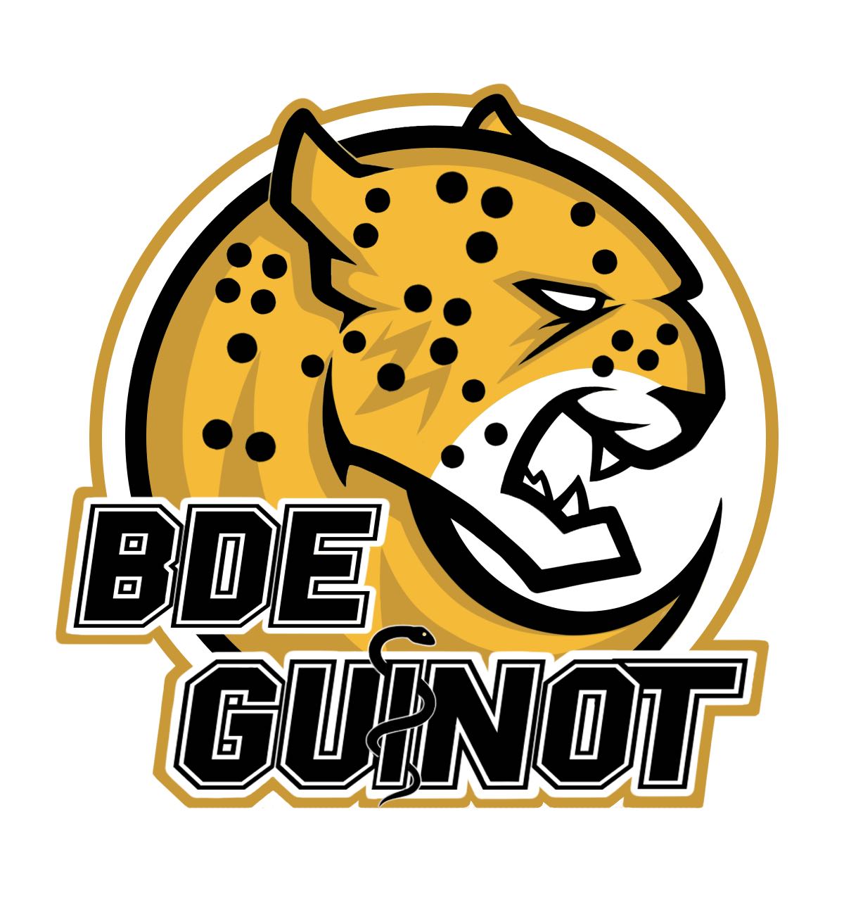 BDSE